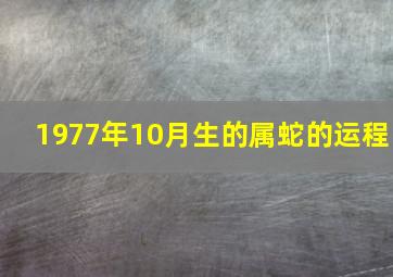 1977年10月生的属蛇的运程