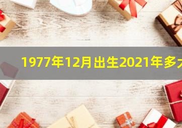 1977年12月出生2021年多大