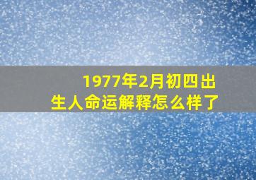 1977年2月初四出生人命运解释怎么样了