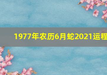 1977年农历6月蛇2021运程