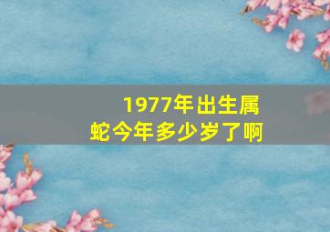 1977年出生属蛇今年多少岁了啊