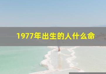 1977年出生的人什么命