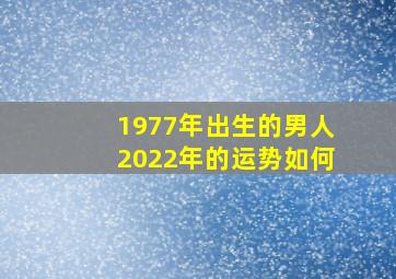 1977年出生的男人2022年的运势如何