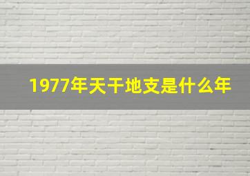 1977年天干地支是什么年