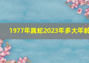 1977年属蛇2023年多大年龄