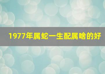 1977年属蛇一生配属啥的好