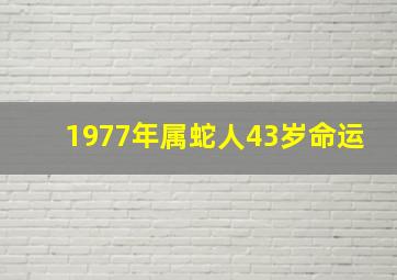 1977年属蛇人43岁命运