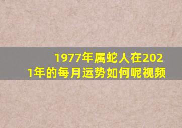 1977年属蛇人在2021年的每月运势如何呢视频