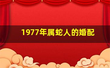 1977年属蛇人的婚配