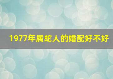 1977年属蛇人的婚配好不好