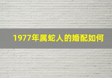 1977年属蛇人的婚配如何