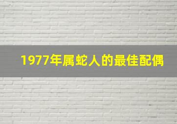 1977年属蛇人的最佳配偶