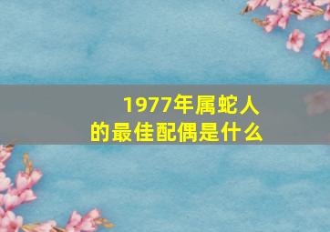 1977年属蛇人的最佳配偶是什么