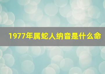 1977年属蛇人纳音是什么命