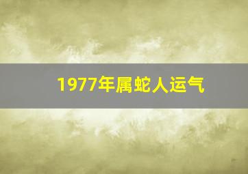 1977年属蛇人运气