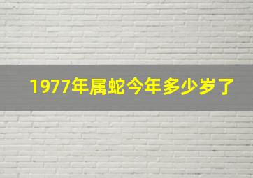 1977年属蛇今年多少岁了