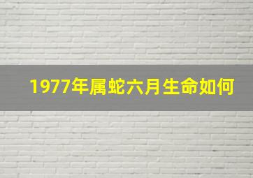 1977年属蛇六月生命如何