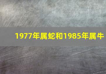 1977年属蛇和1985年属牛