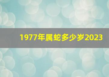 1977年属蛇多少岁2023