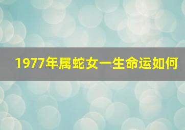 1977年属蛇女一生命运如何