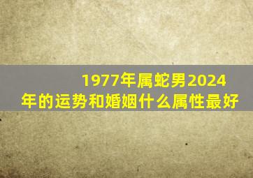 1977年属蛇男2024年的运势和婚姻什么属性最好