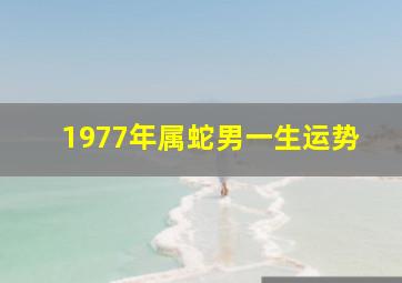 1977年属蛇男一生运势