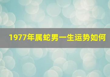 1977年属蛇男一生运势如何