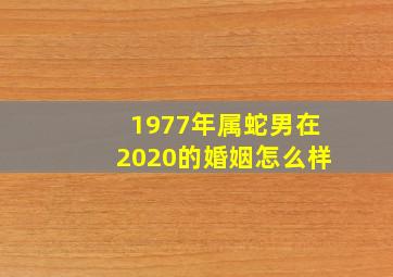 1977年属蛇男在2020的婚姻怎么样