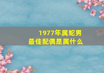 1977年属蛇男最佳配偶是属什么