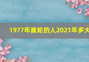 1977年属蛇的人2021年多大