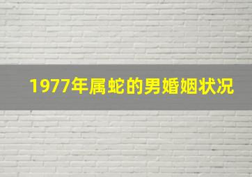 1977年属蛇的男婚姻状况