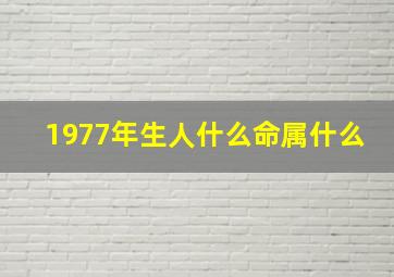 1977年生人什么命属什么