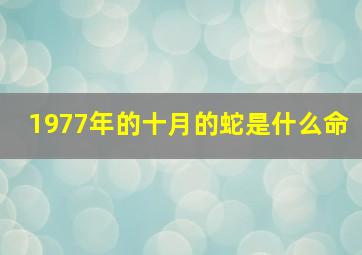 1977年的十月的蛇是什么命