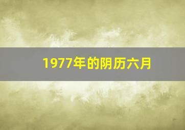 1977年的阴历六月