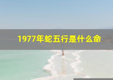 1977年蛇五行是什么命