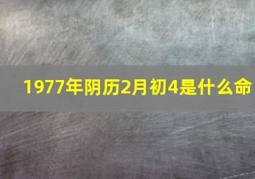 1977年阴历2月初4是什么命