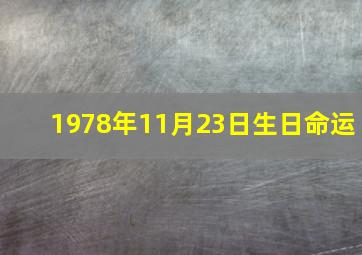 1978年11月23日生日命运