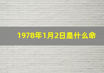 1978年1月2日是什么命