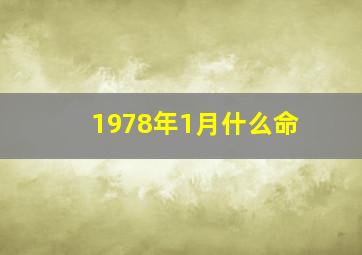 1978年1月什么命