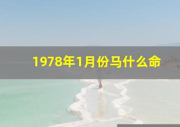 1978年1月份马什么命