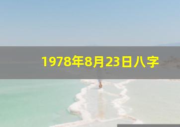 1978年8月23日八字