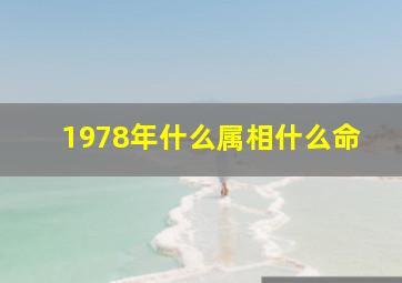 1978年什么属相什么命