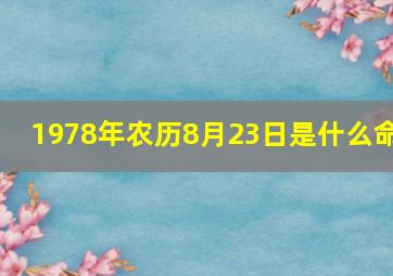 1978年农历8月23日是什么命