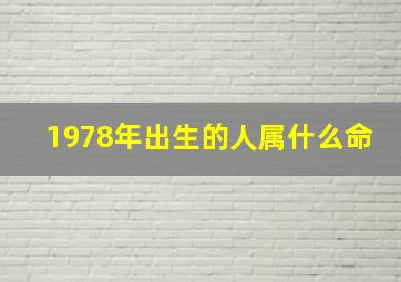 1978年出生的人属什么命