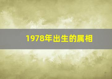 1978年出生的属相