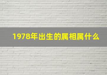 1978年出生的属相属什么