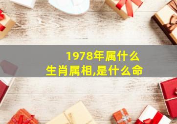 1978年属什么生肖属相,是什么命