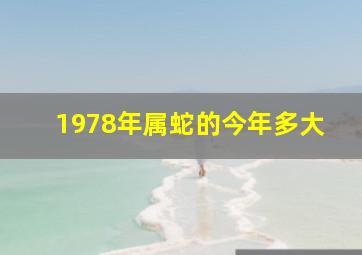 1978年属蛇的今年多大