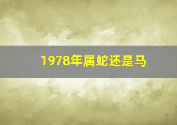 1978年属蛇还是马