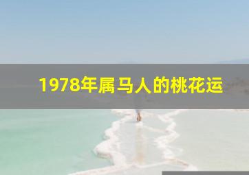 1978年属马人的桃花运